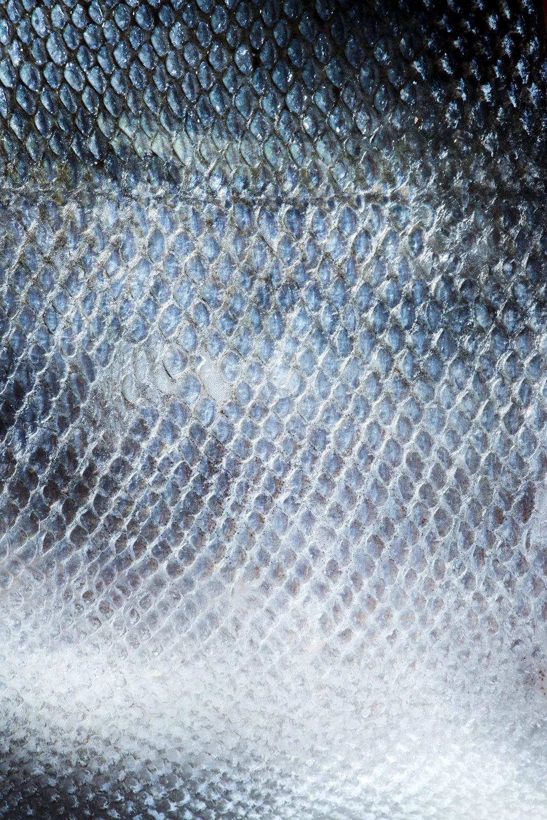 PESCADOS AHUMADOS